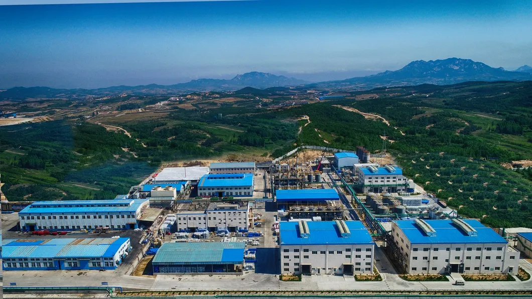 鉱山化学水泳 銅と金鉱のための炭素抑うつ剤D481 7